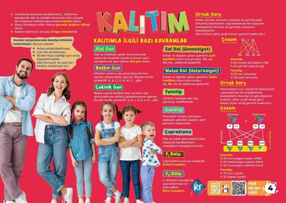 KR Akademi LGS Poster Notlar Seti